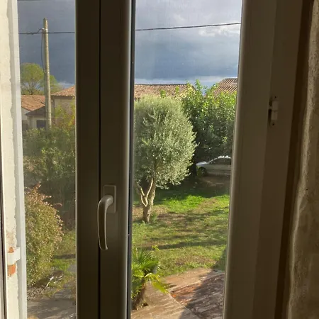 Amis Wine House Pomerol