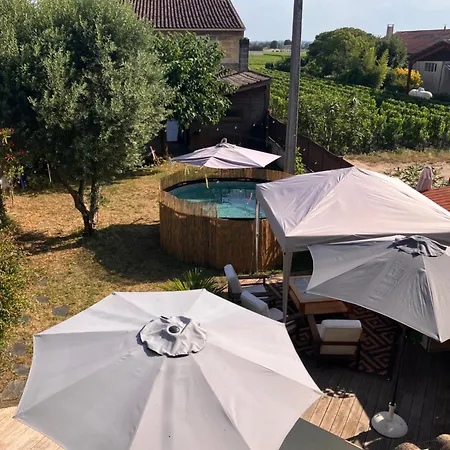 Amis Wine House - A 5 Min De Saint-emilion Frühstückspension Pomerol